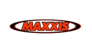 MAXIS-removebg-preview