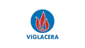 VIGRACERA-removebg-preview